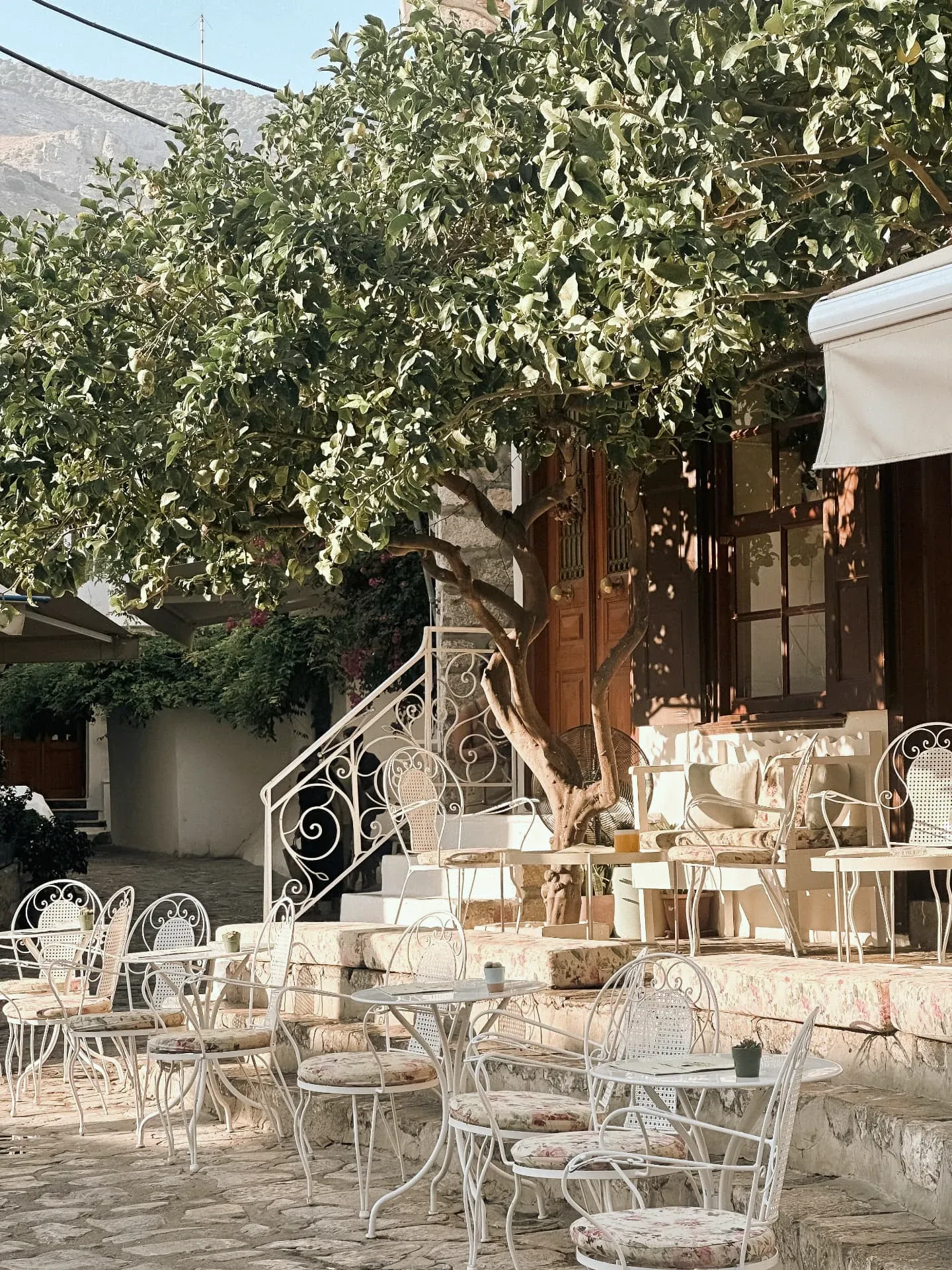 Café terrace under a lemon tree on a Hydra street