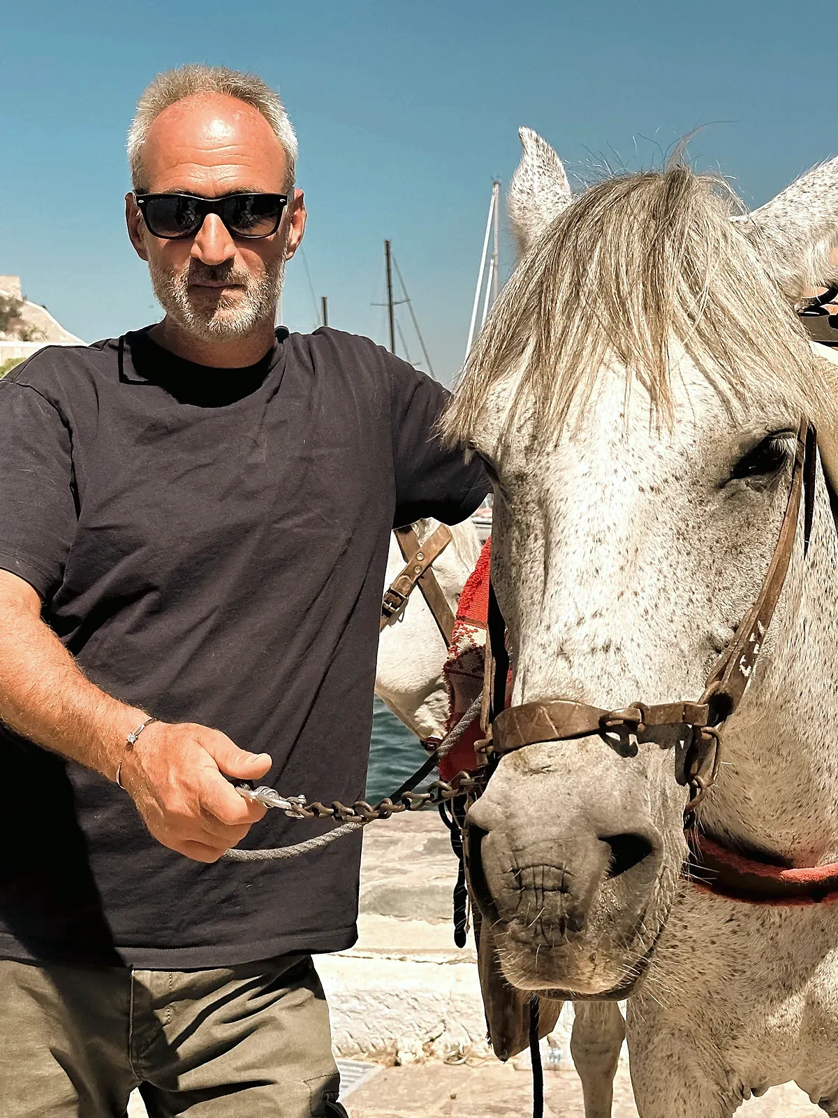 Man with horse at Hydra harbor